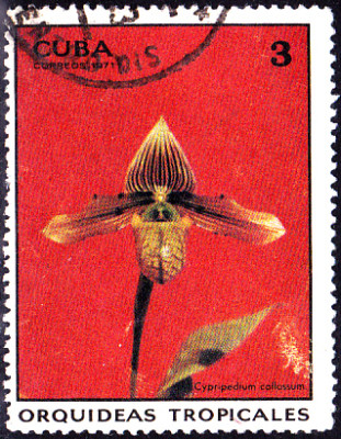 20230405_0007.jpg