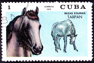 20230405_0014.jpg