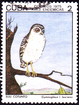 20230409_0004.jpg