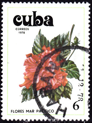 20230424_0007.jpg