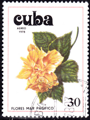 20230424_0009.jpg