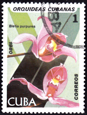 202305009_0005.jpg