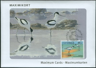 Säbelschnäbler-MaxiC-1.jpg