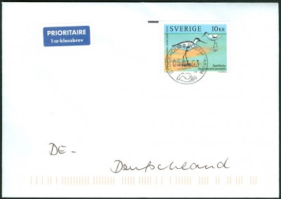 Säbelschnäbler-MaxiC-4.jpg
