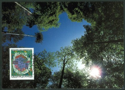 MK181-2000-110er-1.jpg
