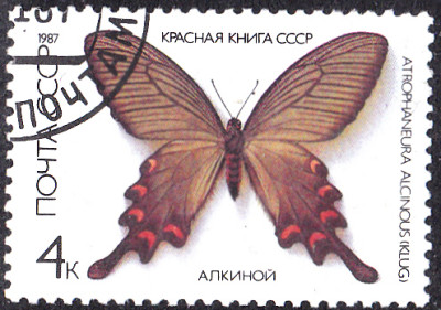 20231017.jpg