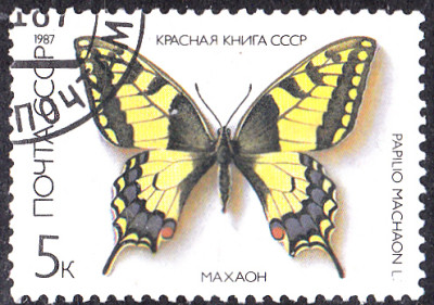20231017_0001.jpg