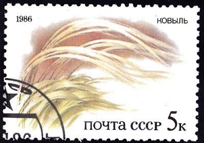 20231017_0010.jpg