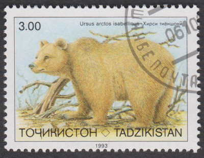 0043.jpg (248.81 KiB) 697-mal betrachtet 0043.jpg