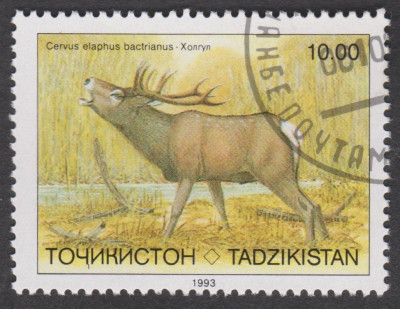 0042.jpg (250.67 KiB) 697-mal betrachtet 0042.jpg