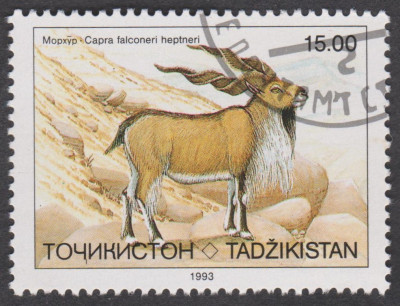 0044.jpg (241.35 KiB) 697-mal betrachtet 0044.jpg