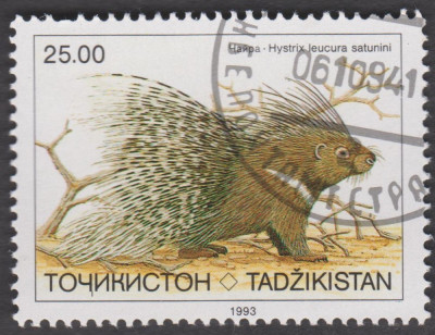 0041.jpg (211.5 KiB) 697-mal betrachtet 0041.jpg