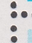 421 - Kopie.jpg