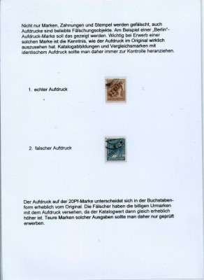 72.jpg