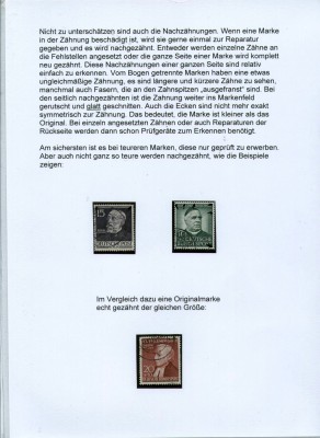 76.jpg