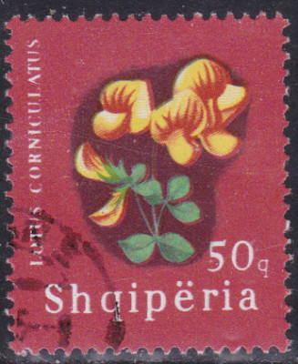 20240106_0012.jpg