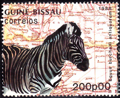 20240208_0009.jpg
