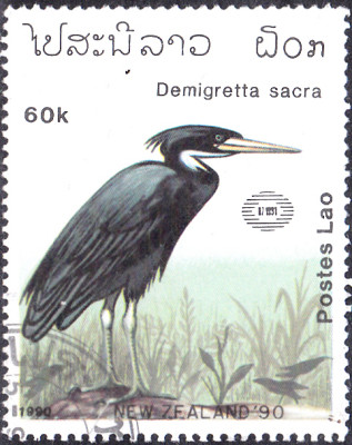 20240208_0013.jpg