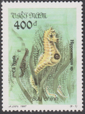 008.jpg