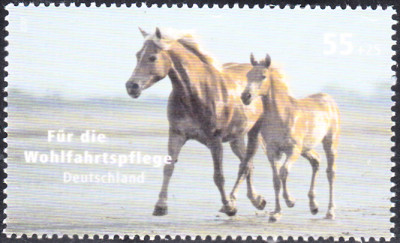 20240216_0009.jpg