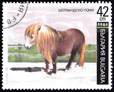 20240222_0007.jpg