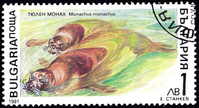 20240222_0012.jpg