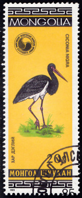 20240224_0008.jpg