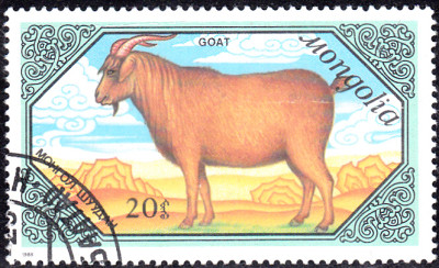 20240226_0010.jpg