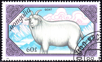 20240226_0014.jpg