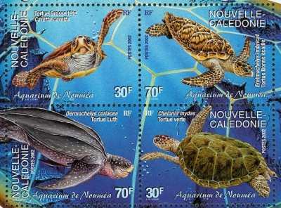 neuCaledonie-2a.jpg