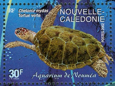 neuCaledonie-2e.jpg