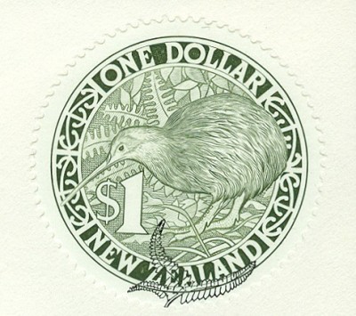 kiwi-neuseeland-2.jpg
