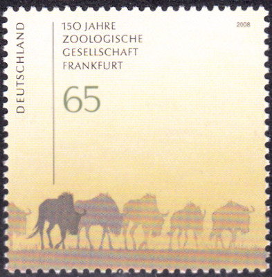 20240308_0003.jpg